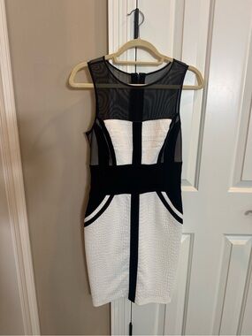 Black & White Sheer Panel Cocktail Dress